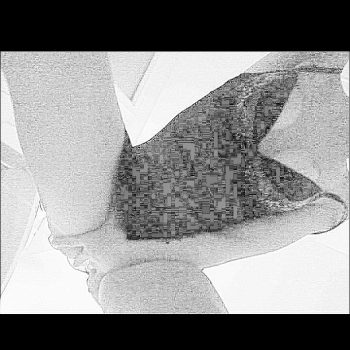 Alaya - Flawil - Saint-Gall | Plans cul