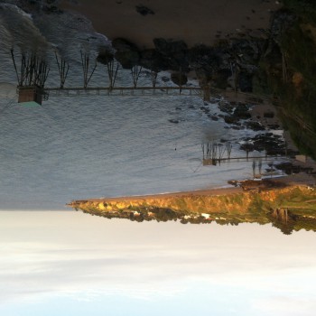 Yanaelle - Kaltenbach - Thurgovie | Plans cul