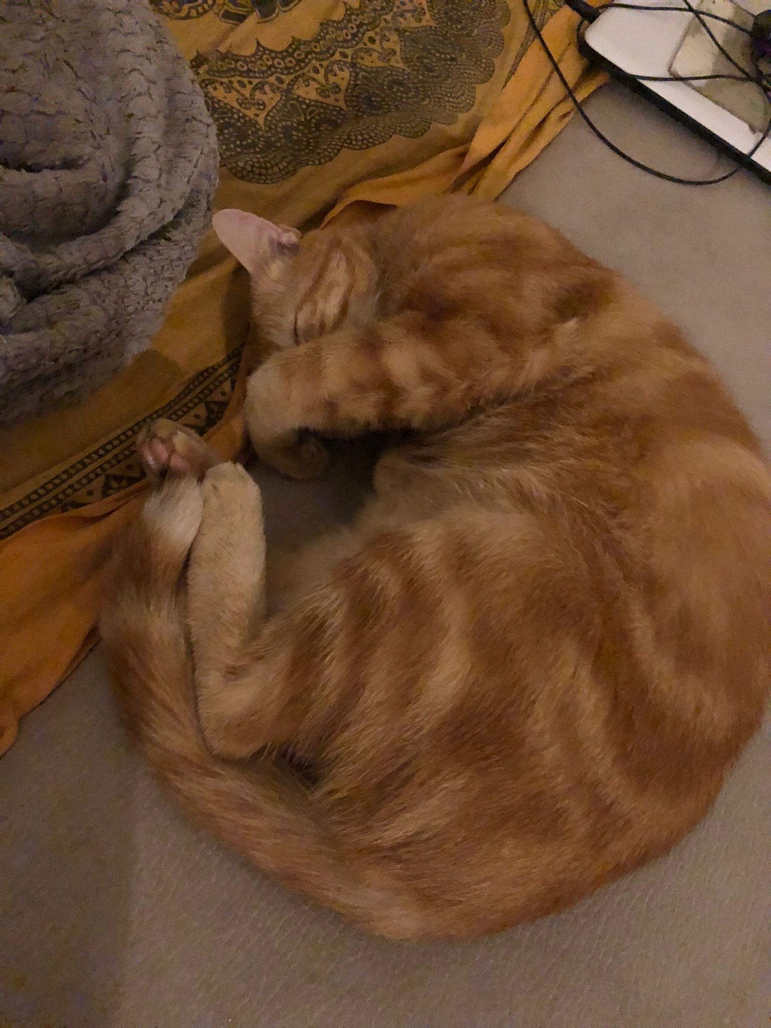 Nehemia - Cronay - Vaud | Plans cul