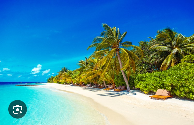 Luc - Hasliberg Reuti - Berne | Plans cul