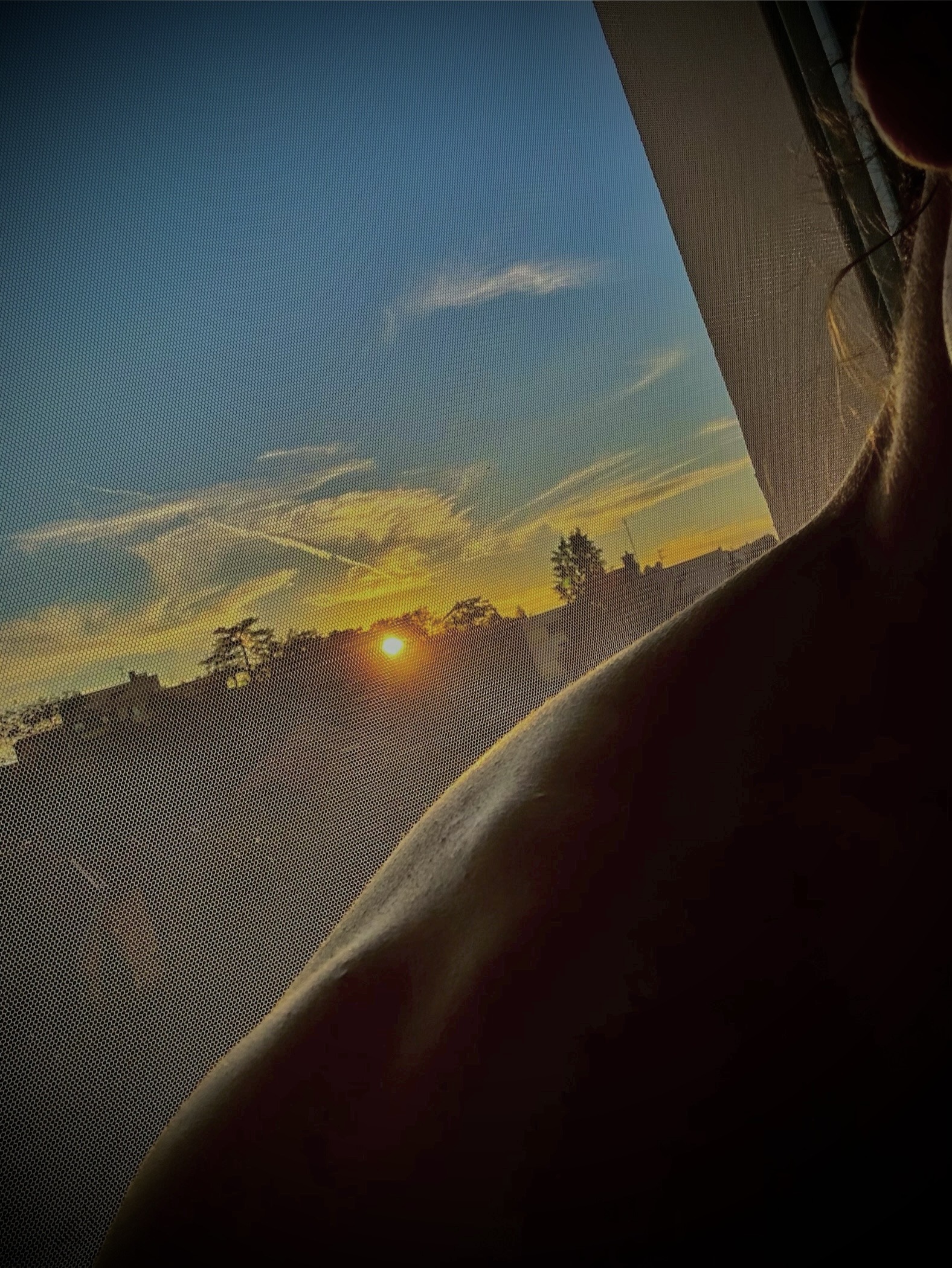 Boukary - Alchenflüh - Berne | Plans cul