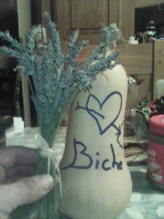 Bokar - Clarens - Vaud | Plans cul