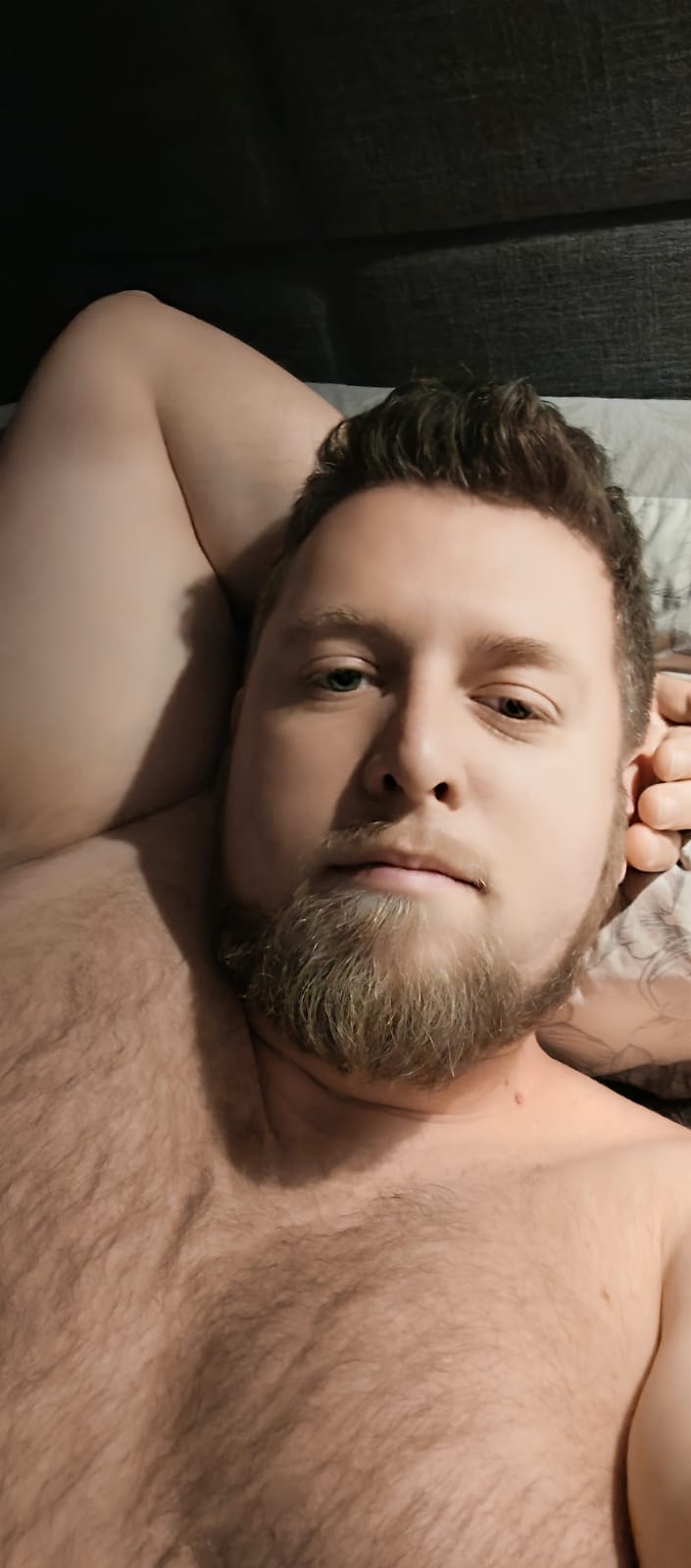 Yenis - Anwil - Bâle-Campagne | Plans cul