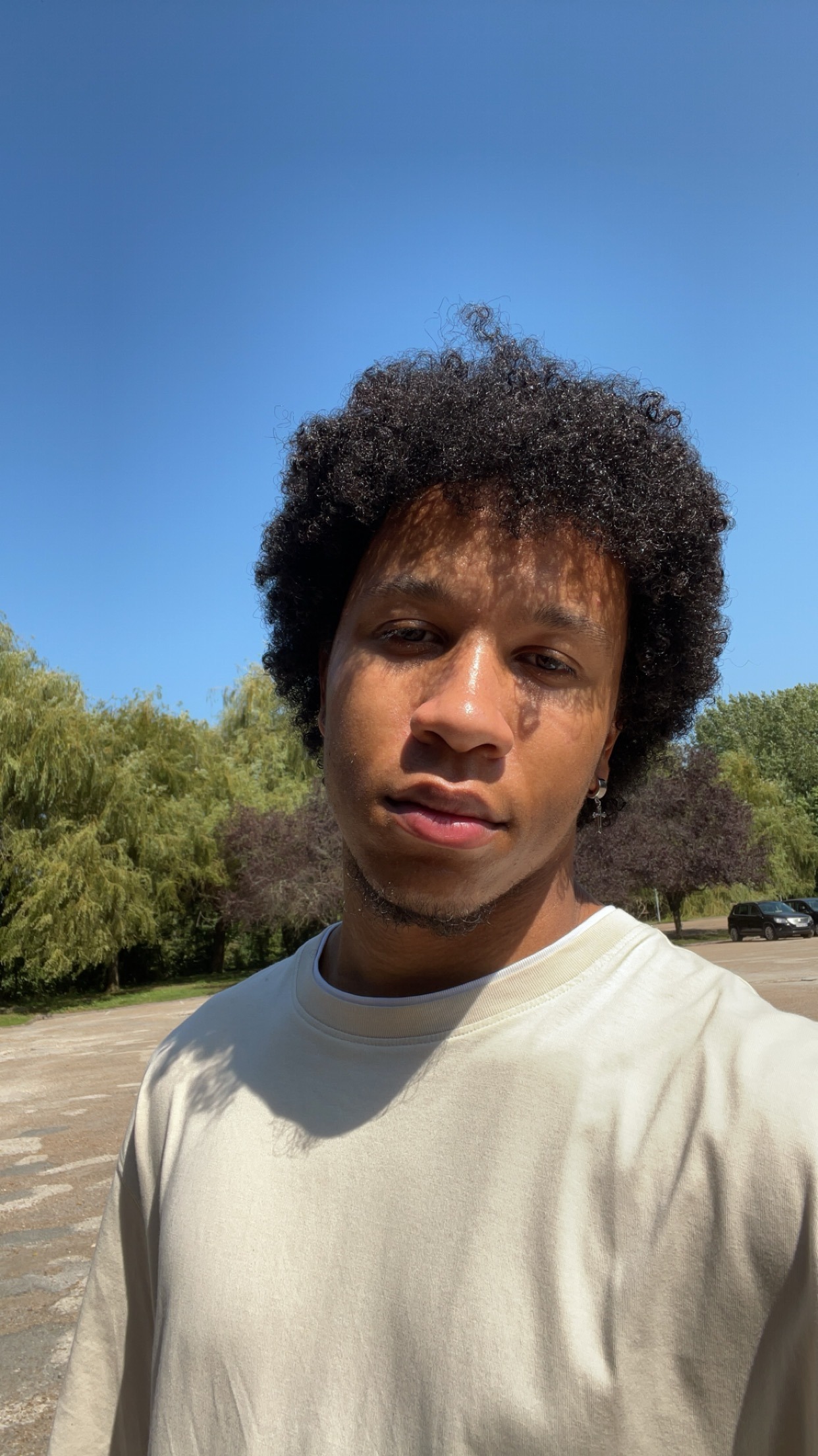 Shady - Ittenthal - Argovie | Plans cul