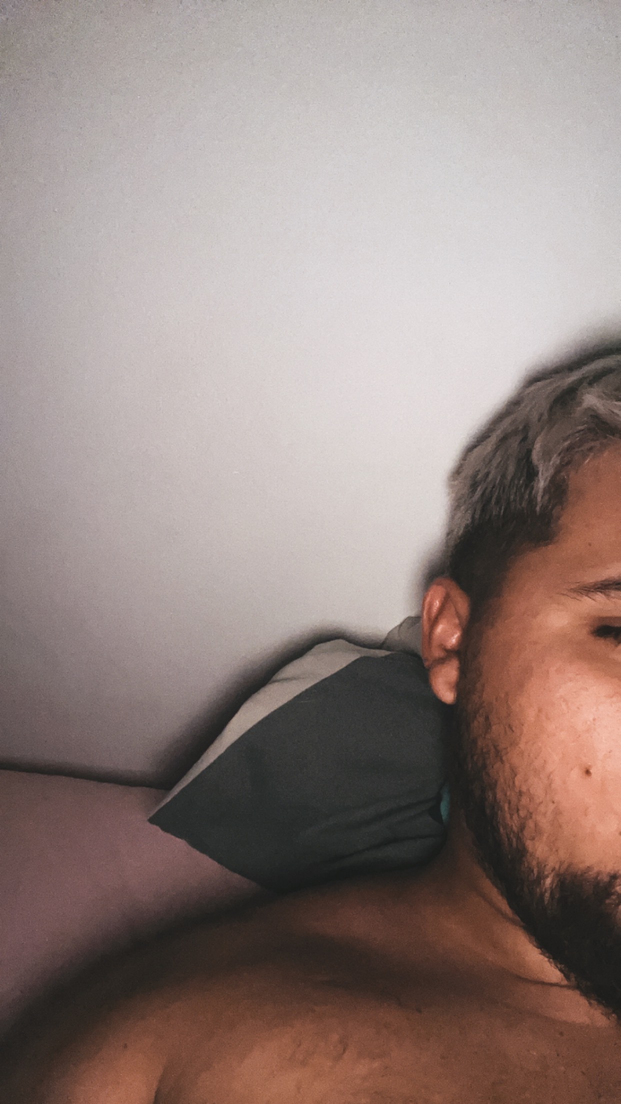 Ara - Cossonay-Ville - Vaud | Plans cul