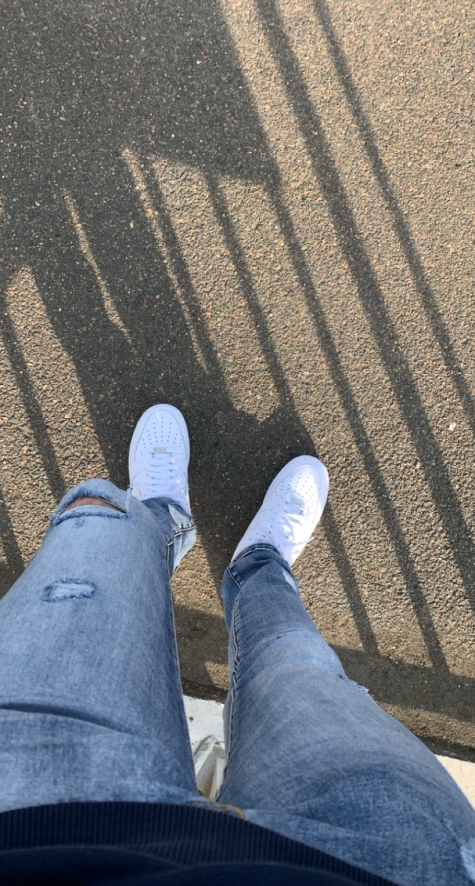 Sami - Gnosca - Tessin | Plans cul