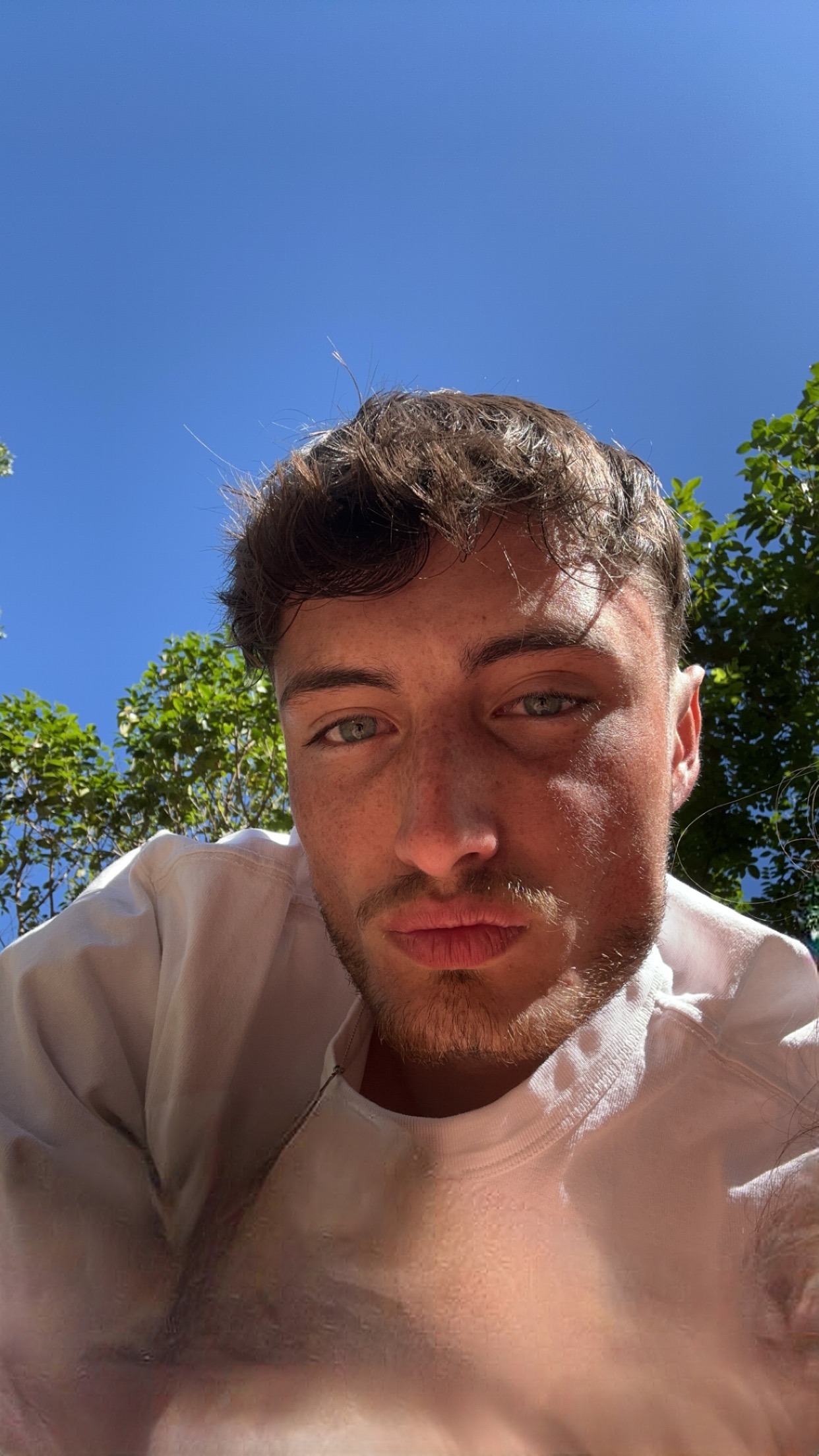 Edie - Dommartin - Vaud | Plans cul