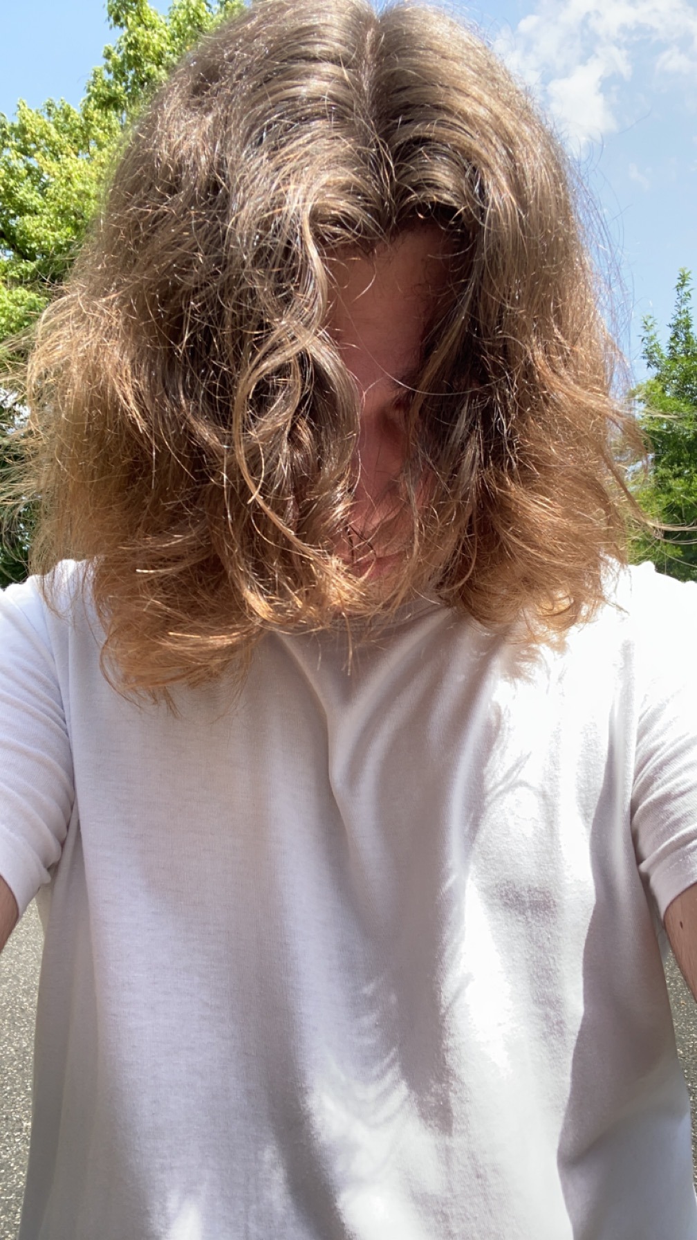 Bouraoui - Clarens - Vaud | Plans cul