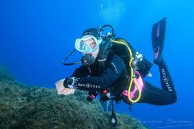 Nareg - Champvent - Vaud | Plans cul