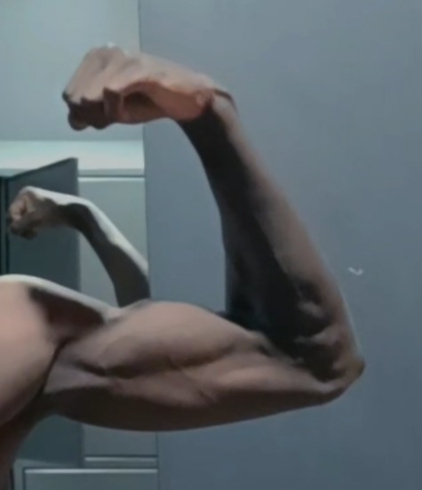 Allain - Eschenbach LU - Lucerne | Plans cul