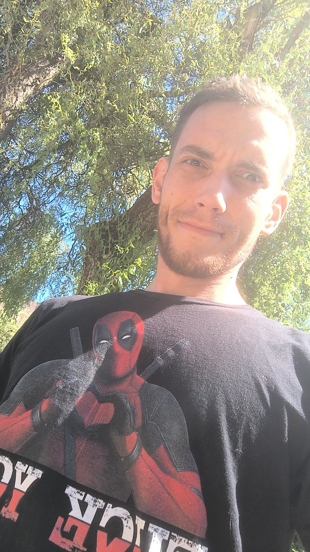 Agop - Ersigen - Berne | Plans cul