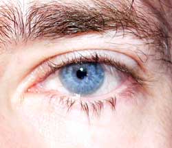 Joseph - Gerzensee - Berne | Plans cul